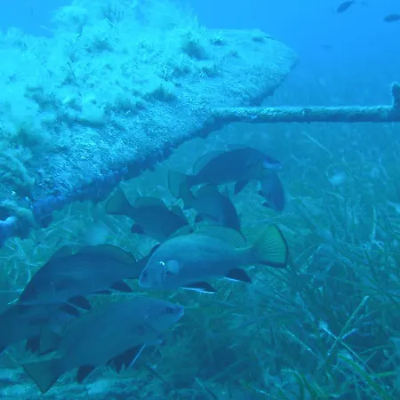 La Marine Ξενοδοχείο