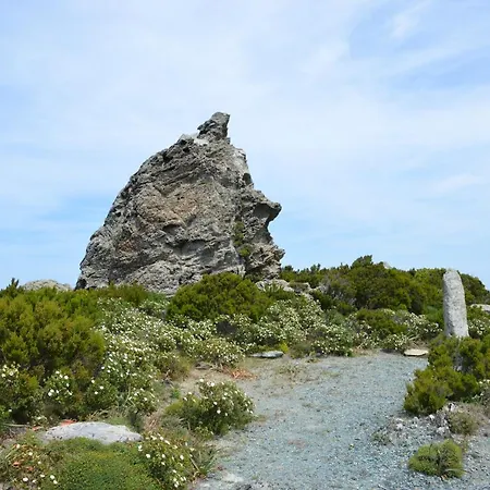 Hotel La Marine *